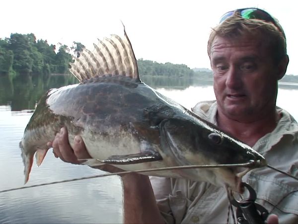 Fishing Expedition Amazonia - Episode 6