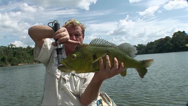 Fishing Expedition Amazonia - Episode 3