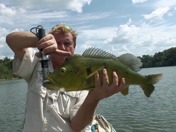 Fishing Expedition Amazonia - Episode 3