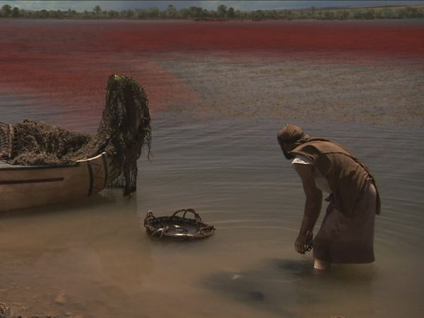 The Biblical Plagues - Duel on the Nile