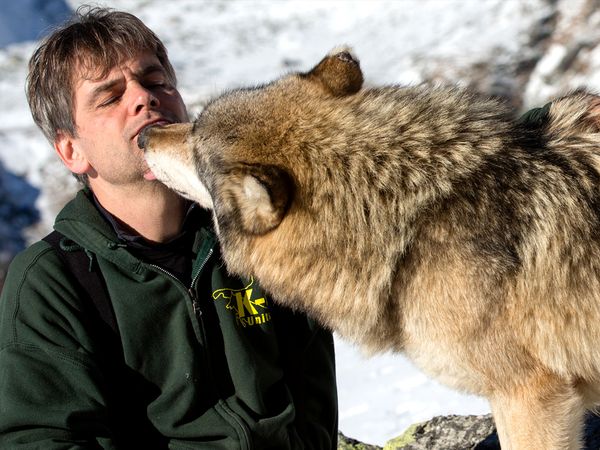 Wandering Wolves - Episode 1