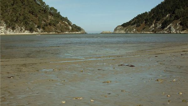 Wild Spain - The Atlantic North