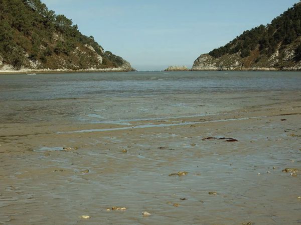 Wild Spain - The Atlantic North