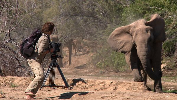 World's Wildest Encounters - Episode 1