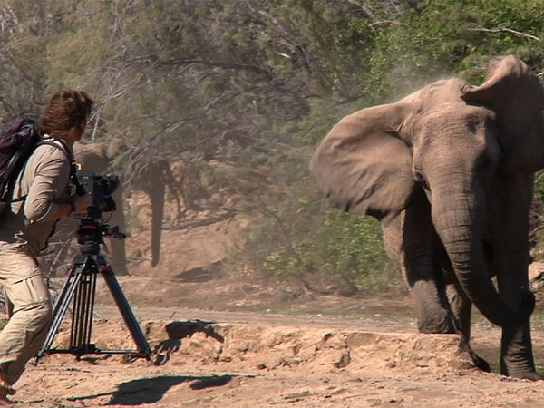 World's Wildest Encounters - Episode 1