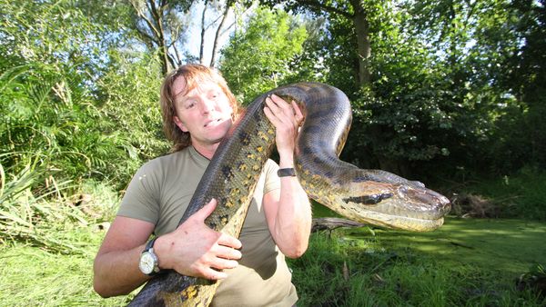 World's Wildest Encounters - Episode 2