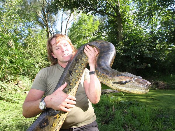 World's Wildest Encounters - Episode 2