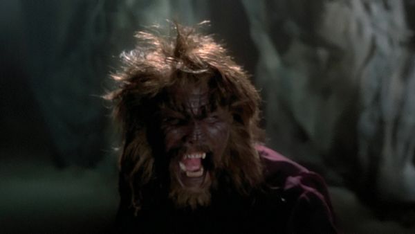 Mutant X - Vems skogar är detta?