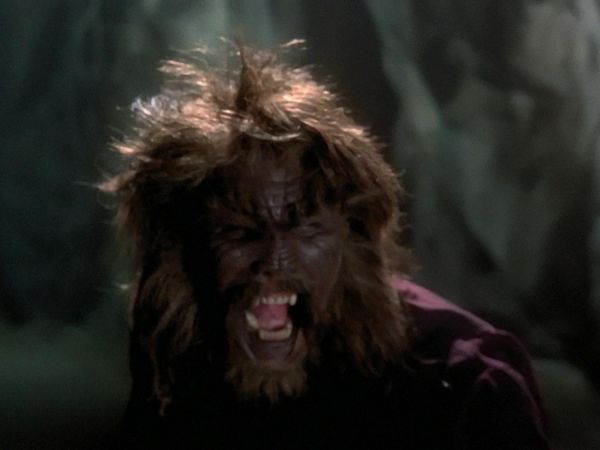 Mutant X - Vems skogar är detta?