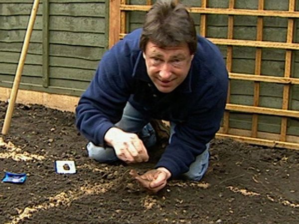 How to Be a Gardener - Episode 2