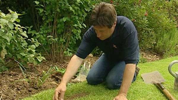 How to Be a Gardener - Episode 4