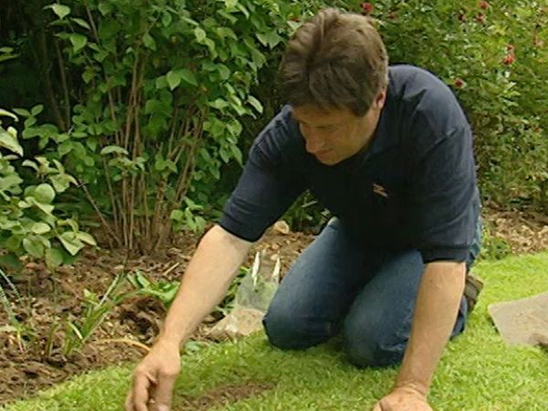 How to Be a Gardener - Episode 4