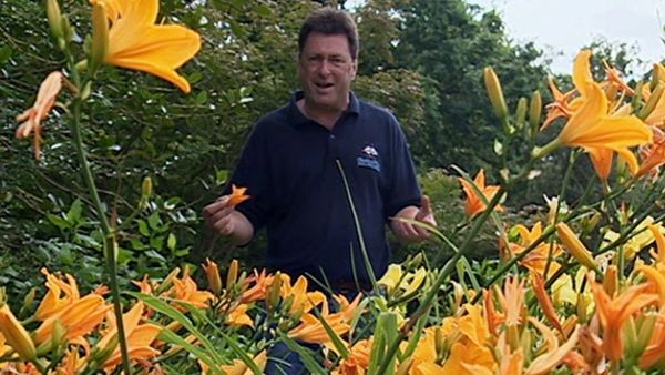 How to Be a Gardener - Blank Canvas Garden