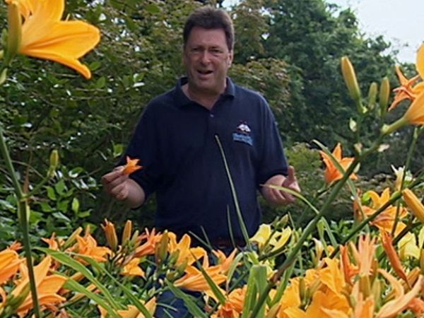 How to Be a Gardener - Blank Canvas Garden