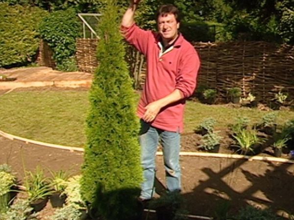 How to Be a Gardener - No Time Garden