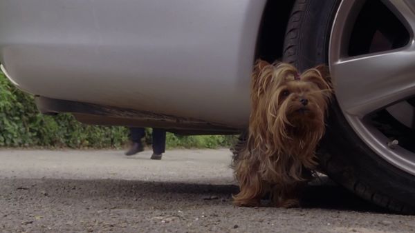 Doc Martin - Avsnitt 304