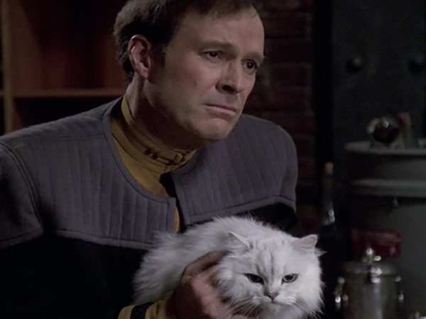 Star Trek: Voyager - Pathfinder