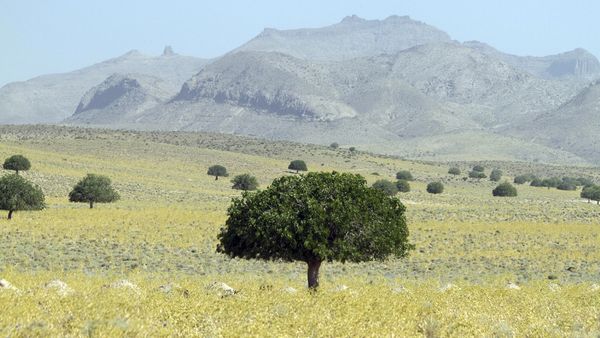 Wild Iran - To the North