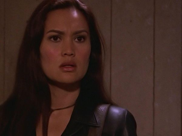 Relic Hunter - Den sidste ridder