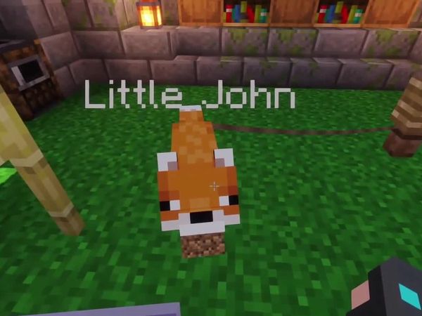 Thinknoodles - I Saved A Sick Panda In Minecraft Hardcore!!