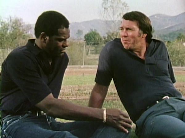 The Best of Greatest Sports Legends - Class Of 1982