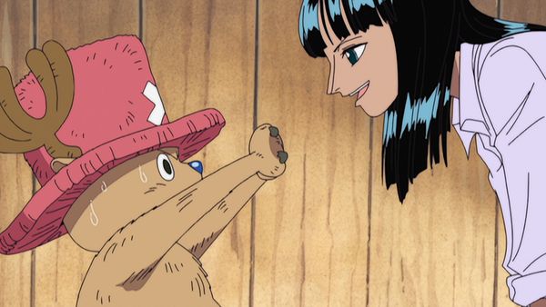 One Piece - A Primeira Paciente! A História Não Contada da Rumble Ball!