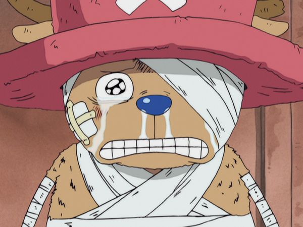 One Piece - As Flores de Cerejeira de Hiluluk! Uma Vontade Herdada!
