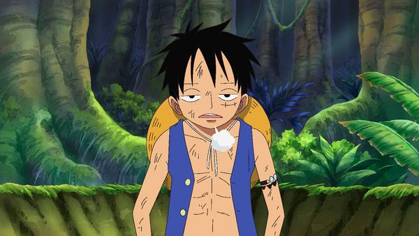 One Piece - Summit War Saga - ¡Aterrizaje! La isla donde no se permiten hombres, Amazon Lily.
