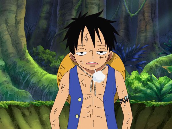 One Piece - Summit War Saga - ¡Aterrizaje! La isla donde no se permiten hombres, Amazon Lily.