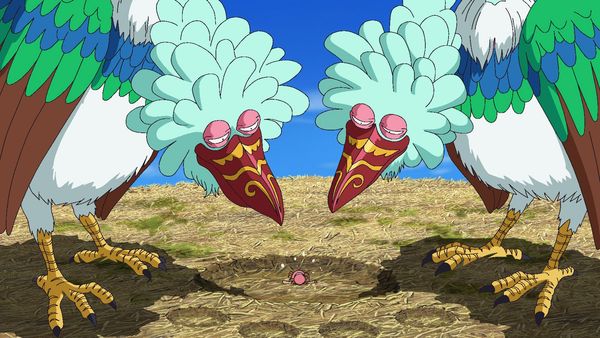 One Piece - Summit War Saga - El paradero de los compañeros. ¡La isla de las aves gigantes y el paraíso rosado!