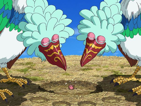 One Piece - Summit War Saga - El paradero de los compañeros. ¡La isla de las aves gigantes y el paraíso rosado!