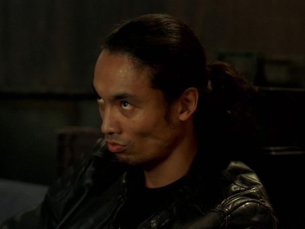 Mutant X - understudium