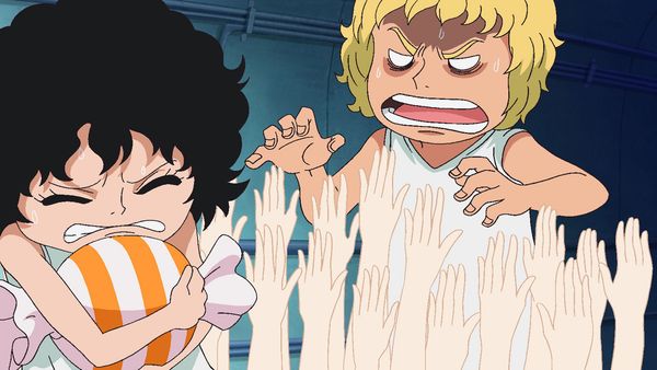 One Piece - Punk Hazard Saga - ¡Protegeré a mis amigos! Mocha arriesga su vida