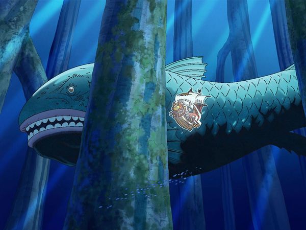 One Piece - Fishman Island Saga - Un hecho sorprendente. El hombre que protegió el Sunny.