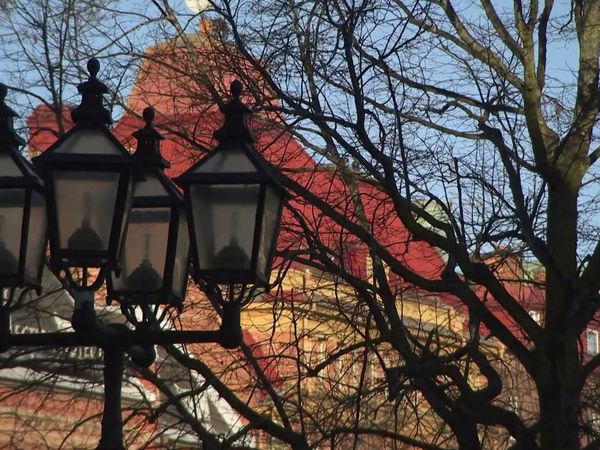 Luksusfellen Sverige - Episode 2612
