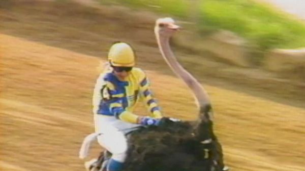Sports Gone Wild - Episode 11