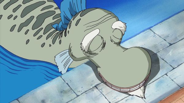 One Piece - Uma Menina em Busca de seu Yagara! A Grande Busca na Cidade das Águas!