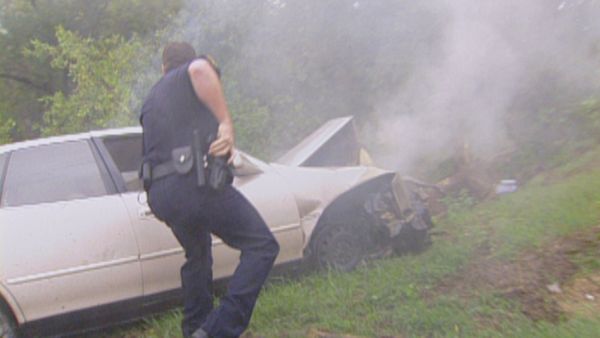 COPS - Mailbox Baseball Playa