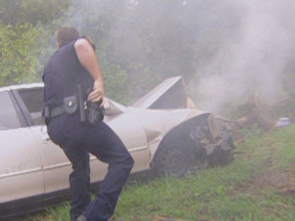 COPS - Mailbox Baseball Playa