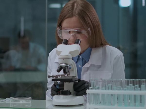 Bloodline Detectives - Justice for Leslie