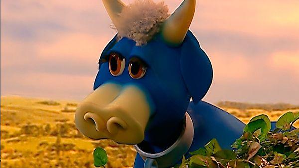 Cocoricó - Vaca