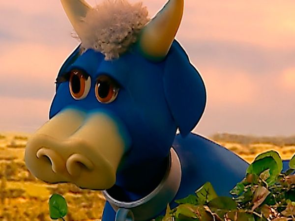 Cocoricó - Vaca