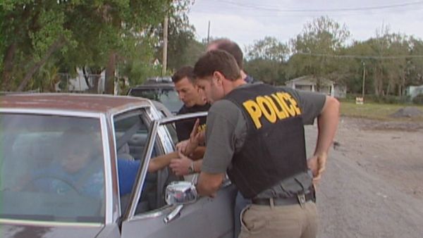 COPS - Crazy as a Loon