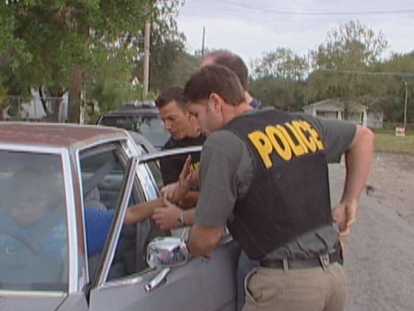 COPS - Crazy as a Loon