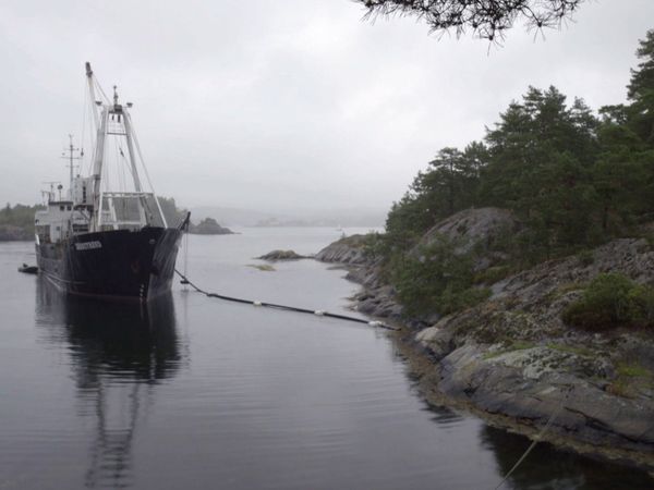 Eventyrlig oppussing - Episode 204