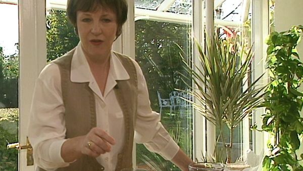 Delia Smith's Winter Collection - Warming Up for Winter