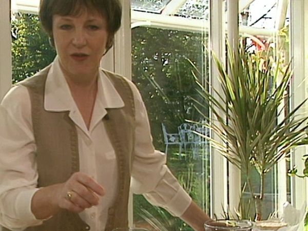 Delia Smith's Winter Collection - Warming Up for Winter