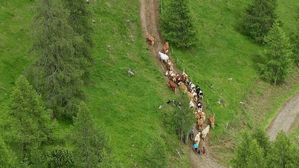 Die Alpen von oben - Von den Karawanken nach Graz