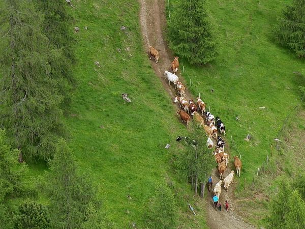 Die Alpen von oben - Von den Karawanken nach Graz