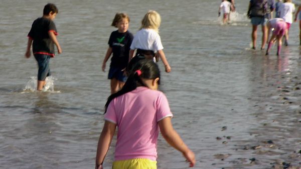 Die deutsche Nordseeküste - Von Borkum nach Hamburg